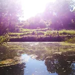 Alcor Del Roble
