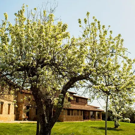 Alcor Del Roble 4*