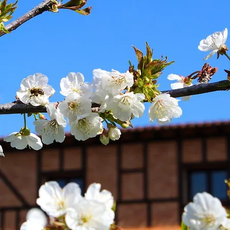 Alcor Del Roble 4* Collado (Caceres)