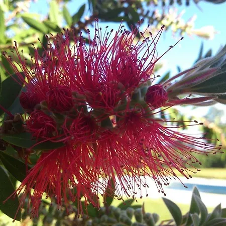 Ξενοδοχείο Alcor Del Roble