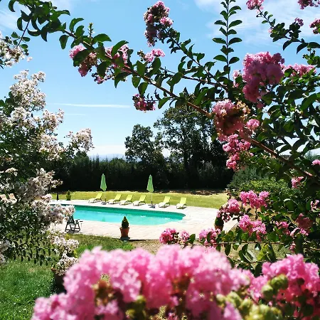 Hotel Alcor Del Roble