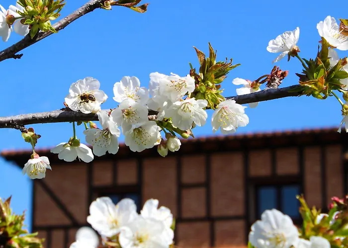 Alcor Del Roble 4* Collado (Caceres)