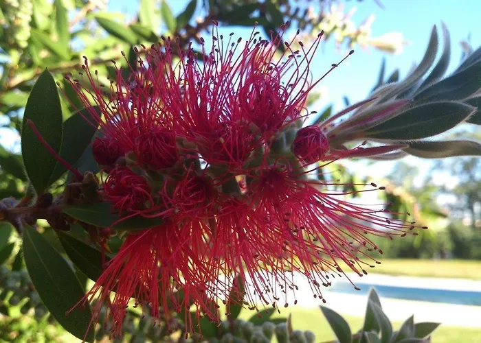 Hotel Alcor Del Roble