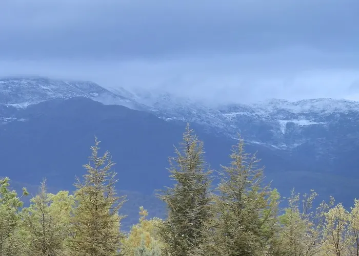 Alcor Del Roble Hotel