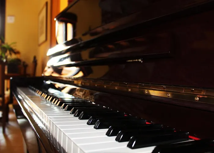 Alcor Del Roble Hotel 4*