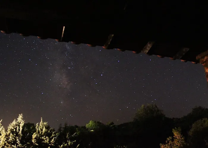 Hotel Alcor Del Roble 4*