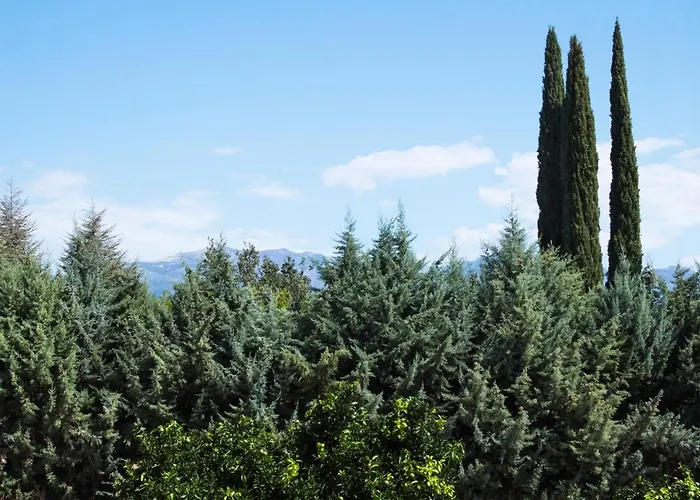 Hotel Alcor Del Roble 4*